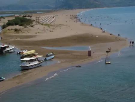 Iztuzu Strand