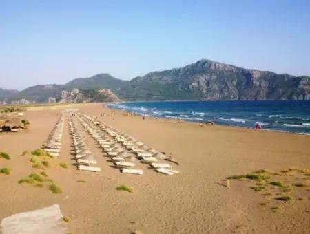 Iztuzu Beach