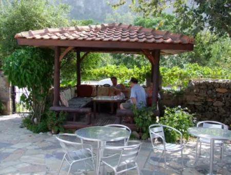 Dalyan Natural Villa Contact Information