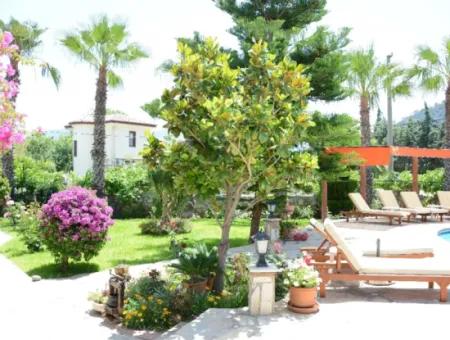 Dalyan Natural Villa Contact Information