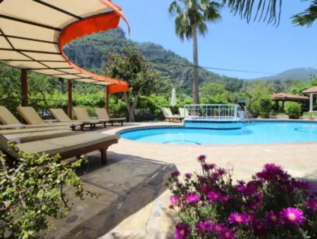 Dalyan Natural Villa. Dalyan Apartment And Villa For Rent.