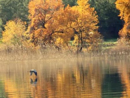 Dalyan Fotoğrafları